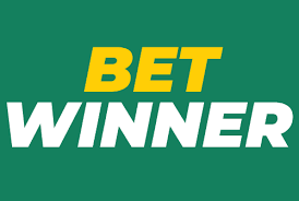 Discovering the Excitement of BetWinner Casino 1